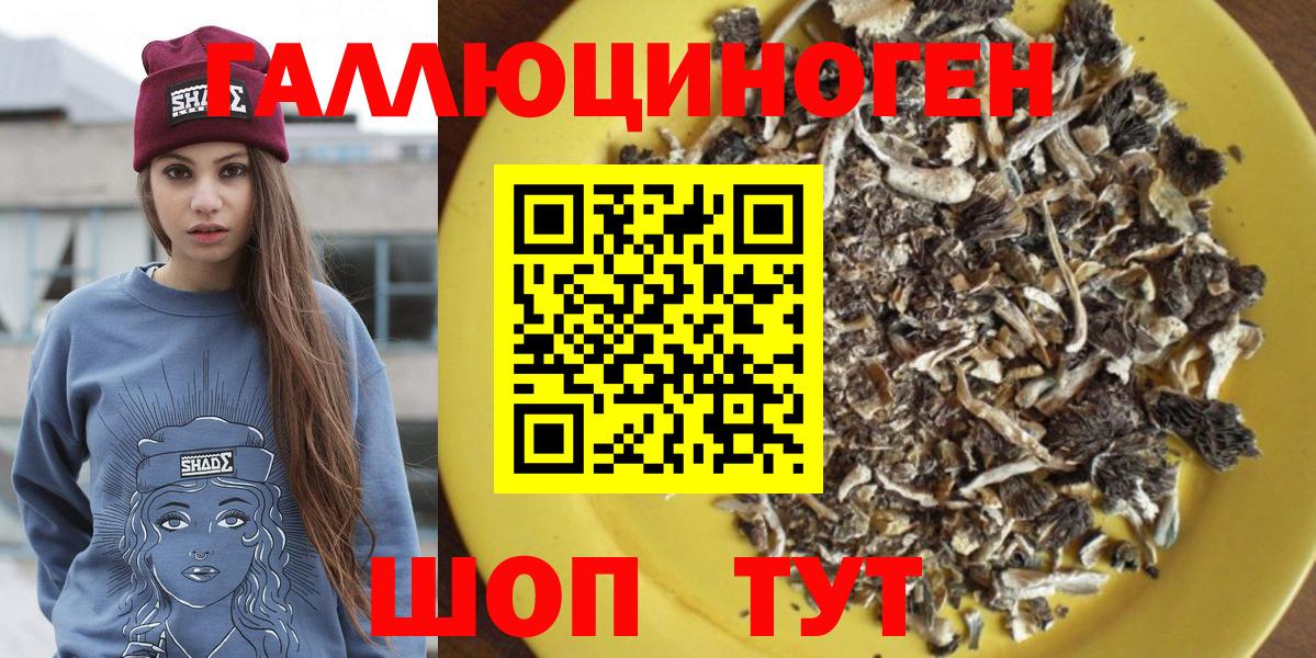 Галлюциногенные грибы мухоморы Новотроицк